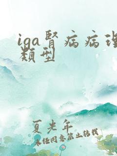 iga肾病病理类型