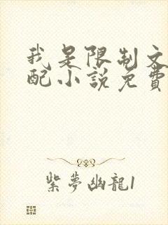 我是限制文的女配小说免费阅读全文