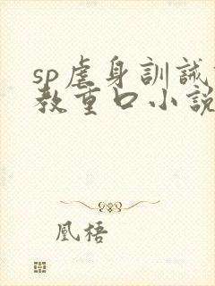 sp虐身训诫调教重口小说