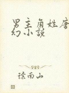 男主角姓唐的玄幻小说