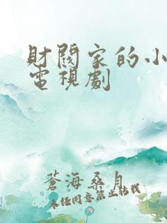 财阀家的小儿子电视剧