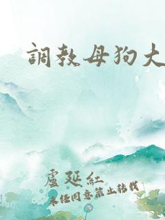调教母狗大小姐