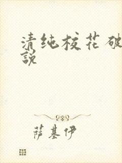 清纯校花破处小说