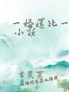 一婚还比一婚高 小说