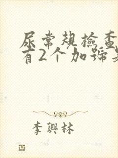 尿常规检查隐血有2个加号是怎么回事