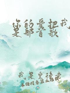 你的爱把我灌醉是那首歌