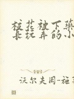 校花被下药被校长玩弄的小说