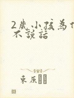 2岁小孩为什么不说话