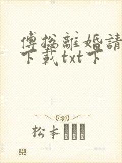 傅总离婚请签字下载txt下