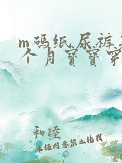 m码纸尿裤是几个月宝宝穿的