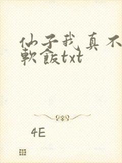 仙子我真不想吃软饭txt