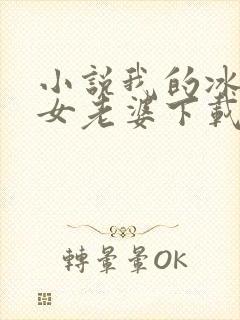 小说我的冰山美女老婆下载