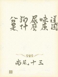 公狗尿味道很大是什么原因