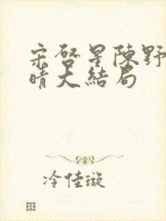 宋启星陈野苏晚晴大结局