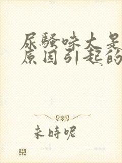 尿骚味大是什么原因引起的