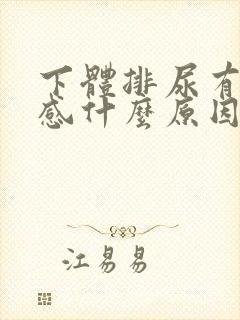 下体排尿有刺痛感什么原因