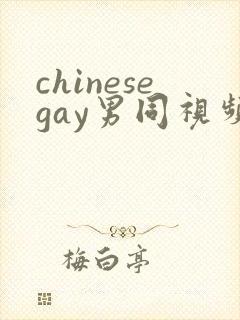 chinesegay男同视频网站