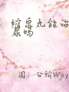 缩泉丸能治疗漏尿吗