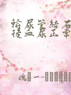 输尿管结石插管后血尿正常吗