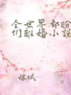 全世界都盼着我们离婚小说免费阅读全文