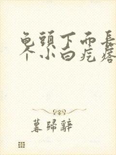 龟头下面长了几个小白疙瘩