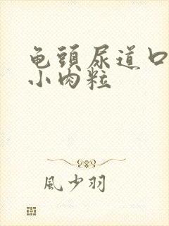 龟头尿道口内长小肉粒