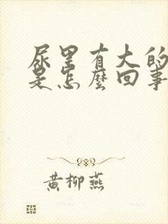 尿里有大的泡泡是怎么回事