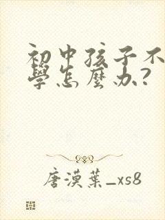 初中孩子不愿上学怎么办?