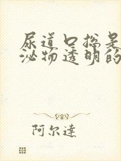 尿道口总是有分泌物透明的