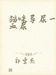 猫咪导尿一直尿血尿