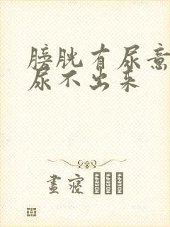 膀胱有尿意但是尿不出来