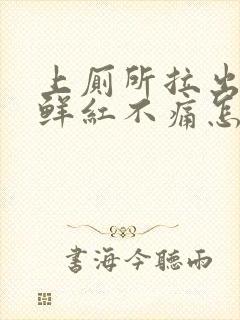 上厕所拉出血,鲜红不痛怎么办女生