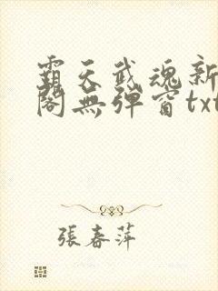 霸天武魂新笔趣阁无弹窗txt