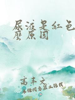 尿液是红色的什么原因