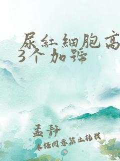 尿红细胞高潜血3个加号