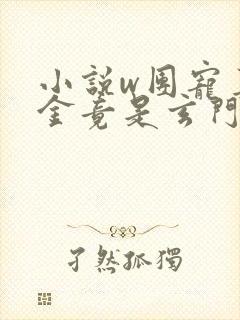 小说w团宠真千金竟是玄门大佬》