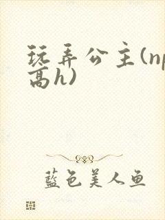 玩弄公主(np高h)