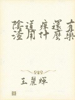 阴道痒还有豆腐渣用什么药