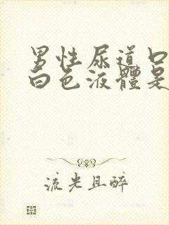 男性尿道口就出白色液体是怎么回事