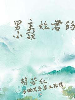 男主姓君的全部小说