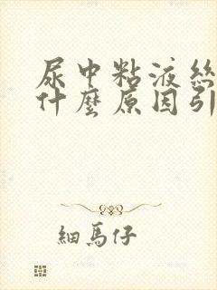 尿中粘液丝高是什么原因引起的