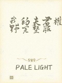 我的夫君权倾朝野完整版