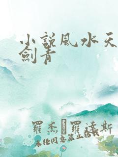 小说风水天医皮剑青