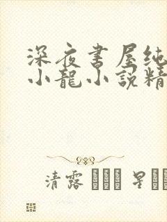 深夜书屋纯洁滴小龙小说精校版