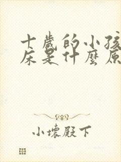 十岁的小孩还尿床是什么原因