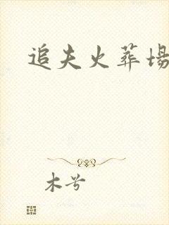 追夫火葬场女主