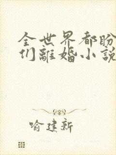 全世界都盼着我们离婚小说txt