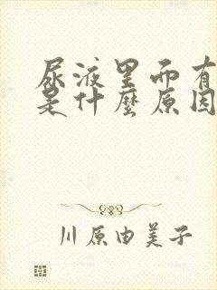 尿液里面有泡沫是什么原因