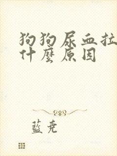 狗狗尿血拉血是什么原因