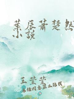 叶辰萧楚然免费小说